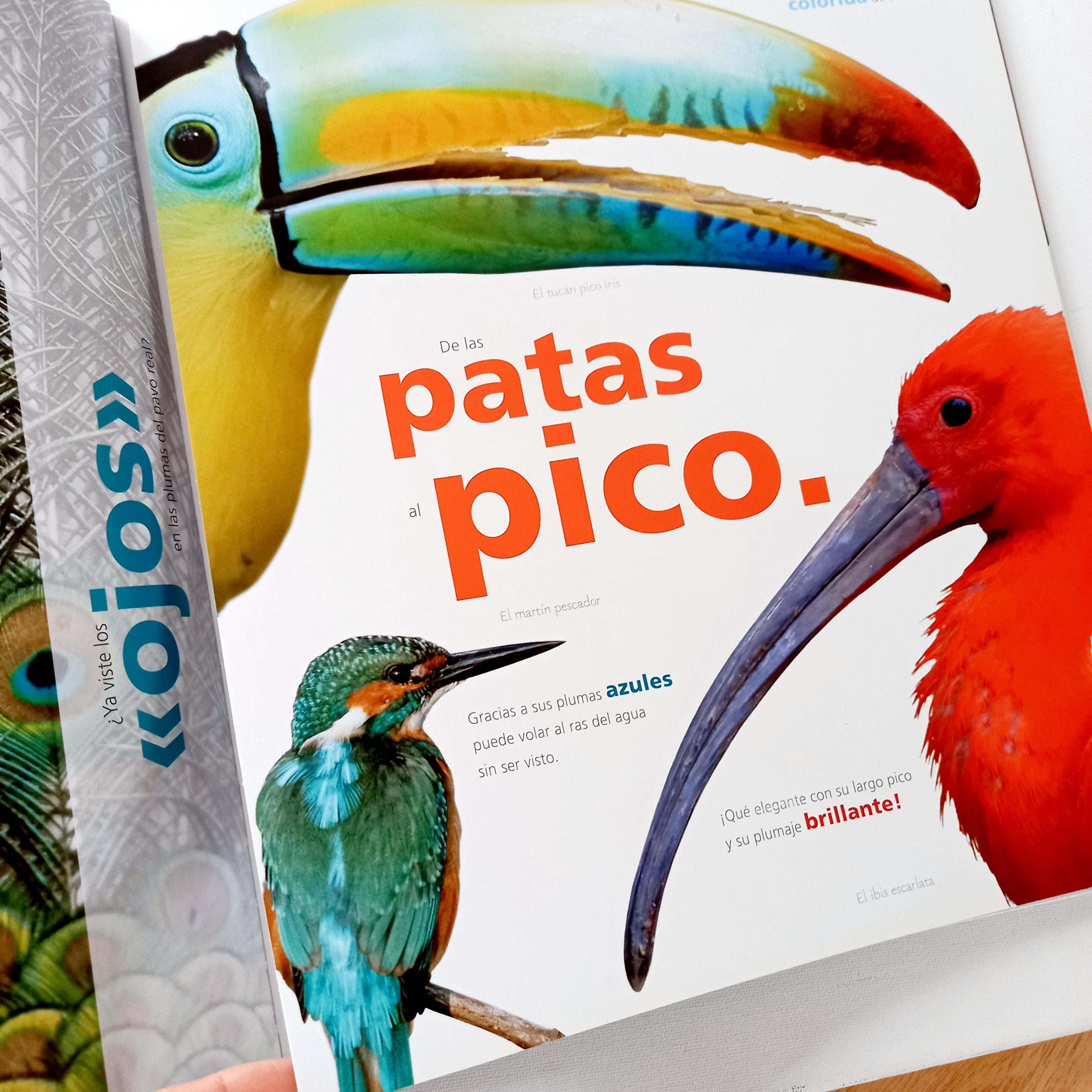 A todo color A todo color